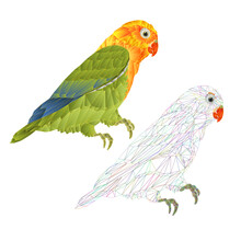 Parrot  Agapornis  Lovebird  Tropical Bird   Polygons And Outline On A White Background  Vector Illustration Editable Hand Draw