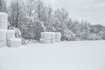 Wall Mural - Hay bales in winter landscape