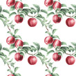 © Aleksandra Baianova - Seamless pattern with watercolor red apples isolated.
