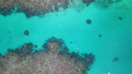 Wall Mural - Beautiful drone aerial view of Mayotte lagoon and coral reef