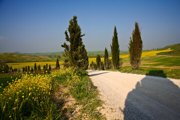 Crete Senesi, panorami della provincia di Siena. Toscana