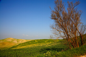 Crete Senesi, panorami della provincia di Siena. Toscana