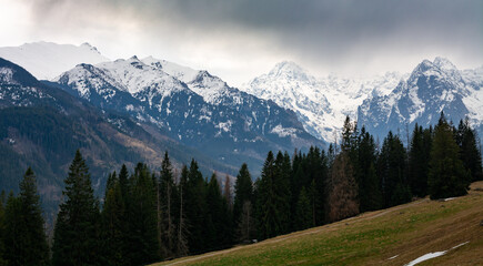Fototapeta góry tatry - widok z rusinowej polany