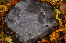 A Large Granite Stone Lies Among The Fallen Autumn Leaves