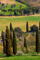 Val d'Orcia, panorami collinari