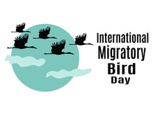 International Migratory Bird Day, Idea For Poster, Banner, Flyer Or Postcard