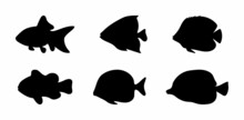Fish Illustration Silhouette