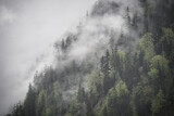 Fototapeta Las - Dramatic fog over forest and dark mood in the mountains - Obersee Königssee Alps
