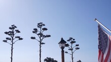Succulent Agave Flower Panicle, Vintage Lantern And American Flag Waving, Western California USA. Wild West Retro Pioneer Cowboy Saloon Or Countryside Ranch Farm Garden. Desert Century Plant And Sky.