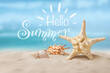 Hello Summer. Beautiful starfish and seashells on sandy beach