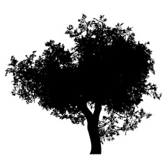 Wall Mural - Silhouette of tree with leaves