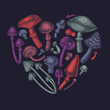 Forest Mushrooms Heart Vintage Design. Hand Drawn Mushrooms, Fly Agaric, Blewit, Etc.