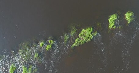 Aufkleber - Aerial view of grassy islands in the river, summer travel concept