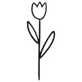 Fototapeta Tulipany - Flower Plant Leaves hand drawn Line Art Illustration