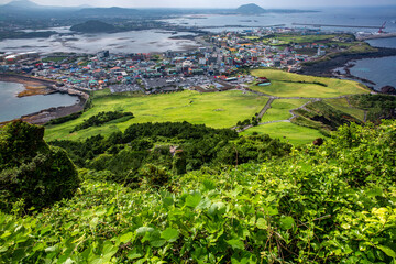 Canvas Print - 城山日出峰