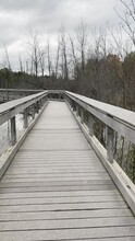 Time Lapse Walking Through Nature Preserve In Autumn Across Narrow Bridge Walkway