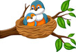 Cartoon mother bird with her baby in the nest