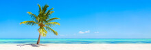Panorama Banner Photo Of Idyllic Tropical Beach With Palm Tree