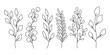 Set of Line Art Leaves Silhouette Black Sketch on White Background. One Line Beautiful Plants, Leaves, Flowers. Vector Illustration. 