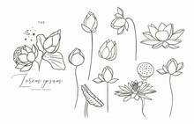 Black Lotus Flower Outline.Vector Illustration For Icon,sticker,printable And Tattoo