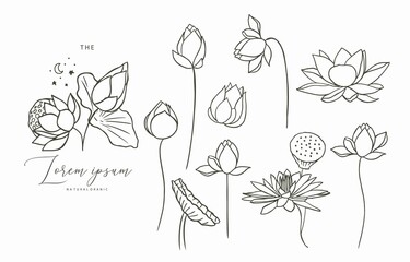 Wall Mural - Black lotus flower outline.Vector illustration for icon,sticker,printable and tattoo