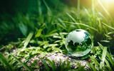 Globe Glass on green grass forest with sunlight. Environment, save world, earth day and conservation Concept.