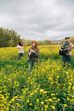 Musicians Doing Rehearsal With Musical Instruments In Flower Field
