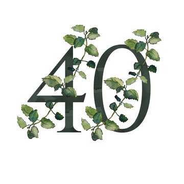 Dark green decorative floral alphabet — number Forty (40) symbol with melissa twigs. Watercolor collection for anniversaries, weddings and other celebratory events; for invitations and greeting cards