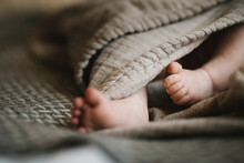 Bare Feet Of Newborn Baby Wrapped In Blanket