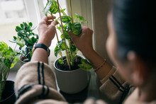 Woman Planting Potted Plants At Home