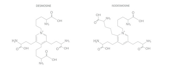 Wall Mural - Amino acids molecular skeletal chemical formula.