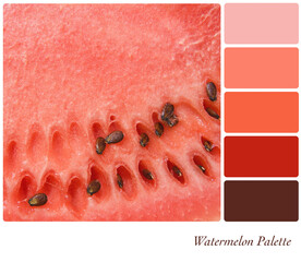 Wall Mural - Watermelon background in a colour palette with complimentary swatches