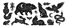 Vector Mystic Magic Animal Silhouette Illustration. Boho Wolf Fox Bear Cat Owl. Astrology Totem Set With Celestial Moon Star Icons. Esoteric Modern Art For Tattoo, Logo Design. Magic Mystic Animals