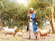 Bible shepherd and his flock of sheep in an Olive Grove