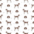 © a7880ss - Wirehaired Pointing Griffon seamless patetrn. Different poses, coat colors set