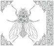 Adult coloring book page. Floral fly. Ethereal animal consisting of flowers and leaves