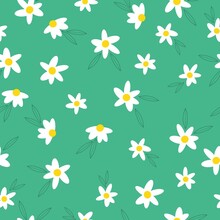 Seamless Vintage Pattern. White  Flowers . Green Background. Vector Texture. Fashionable Print For Textiles, Wallpaper And Packaging.