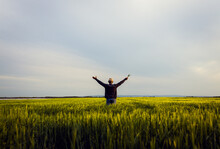 Rear View Of Senior Farmer Standing In Barley Field With His Outstretched Arms At Sunset.