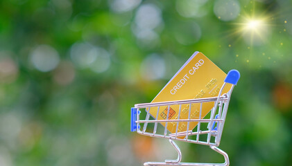 Poster - Credit Card in Shopping Cart, shopping online concept