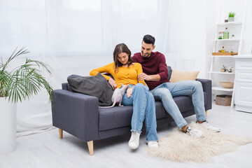 Wall Mural - Smiling interracial couple looking at sphynx cat on couch at home.