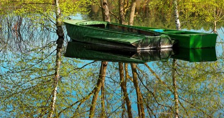 Wall Mural - Boats moored near Trees that Standing In Water During Spring Flood floodwaters. Reflection of Trees woods in Water deluge During A Spring Flood. Beautiful spring landscape with reflection in river