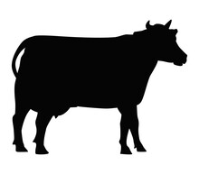 Cow Black Silhouette