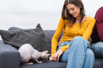 Wall Mural - Smiling woman looking at blurred sphynx cat on couch at home.