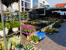 Blumenmarkt In Mülheim An Der Ruhr