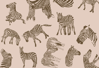  vintage pattern zebra , stylish cover for for fabric, postcards, wallpapers,graphical vector illustration with sepia background