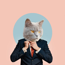 Portrait Of A Business Man With An Animal Face On A Pink Blue Background. Smart Serious Cat. Collage In Magazine Style. Human Characters Through Animals. Contemporary Collage, Art, Creative Idea
