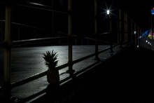 View Of A Pinapple (Ananas Comosus) On A Bridge Under The Lights At Night