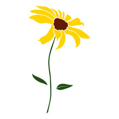 Wall Mural - Open heliopsis blossom vector color illustration isolated on white background. Vector sketch style top view hand drawing of wild, heliopsis, false sunflower.
