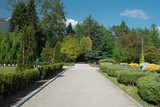 Fototapeta  - słoneczna ścieżka w parku