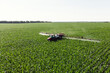 Self-propelled sprayer sprays green corn with pesticides on a photo field from a drone. The tractor sprays the grass with pesticides.